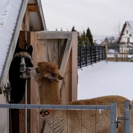 Całoroczne Domki Góralskie Kluszkowce-Czorsztyn Exterior foto